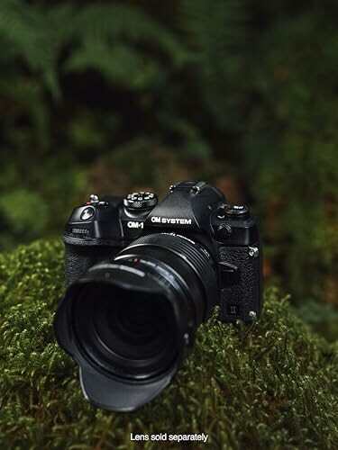 Camera on moss with blurred background