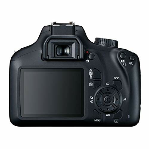 Back view of a DSLR camera showing the screen and control buttons.