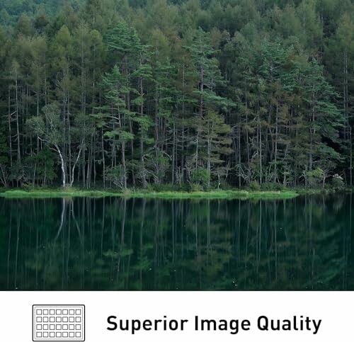 Dense forest reflected in a calm lake