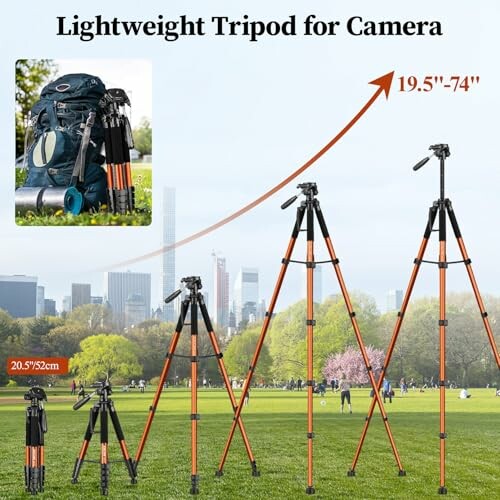 Lightweight tripod for camera with adjustable height in a park setting.